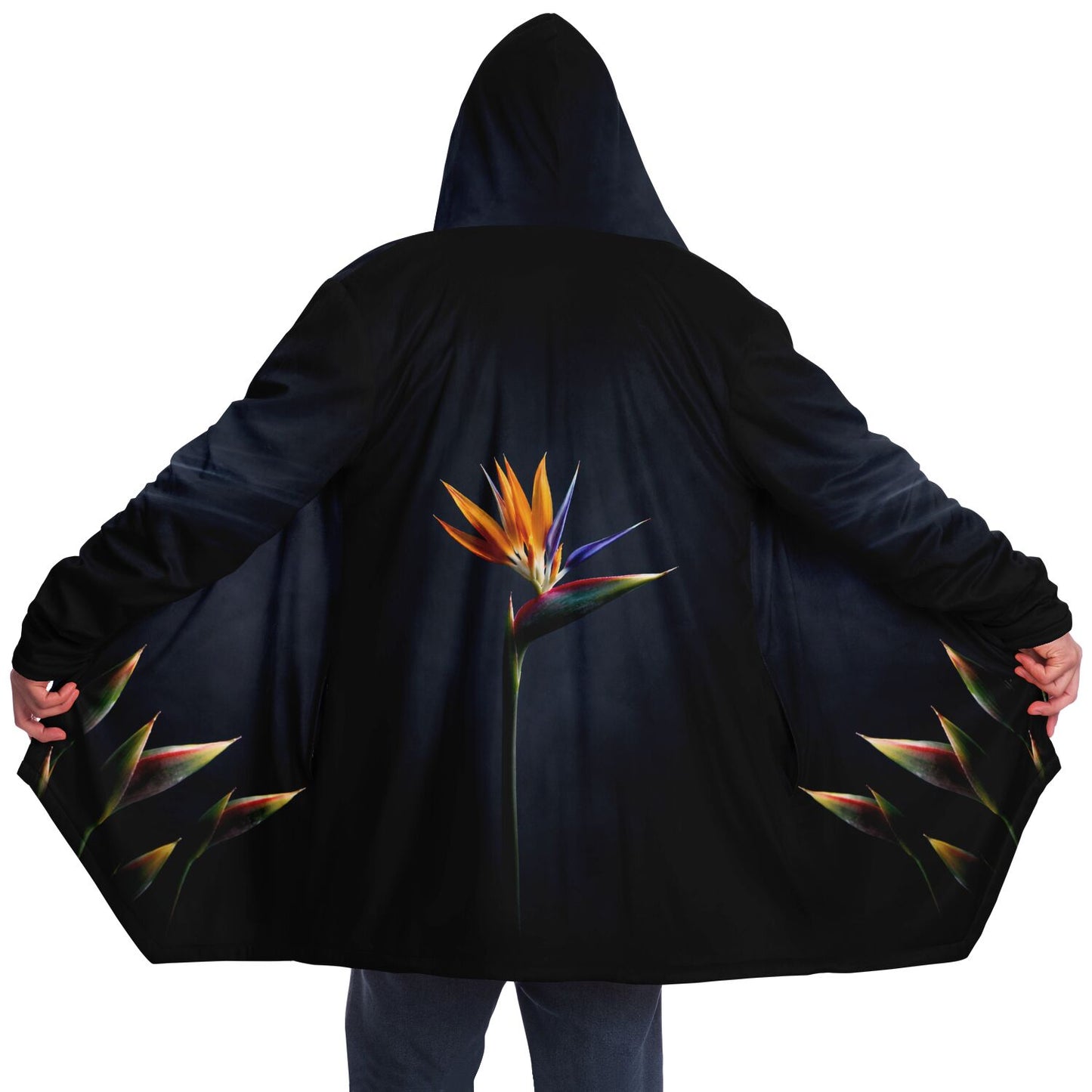 Bird of Paradise