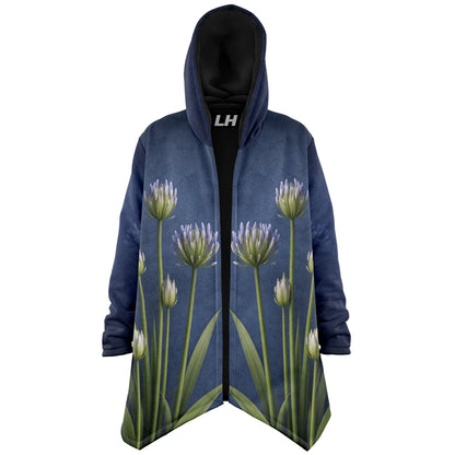 Agapanthus (Lily of the Nile)